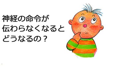 自律神経失調症　克服　整体　横浜　改善 治療院　治療